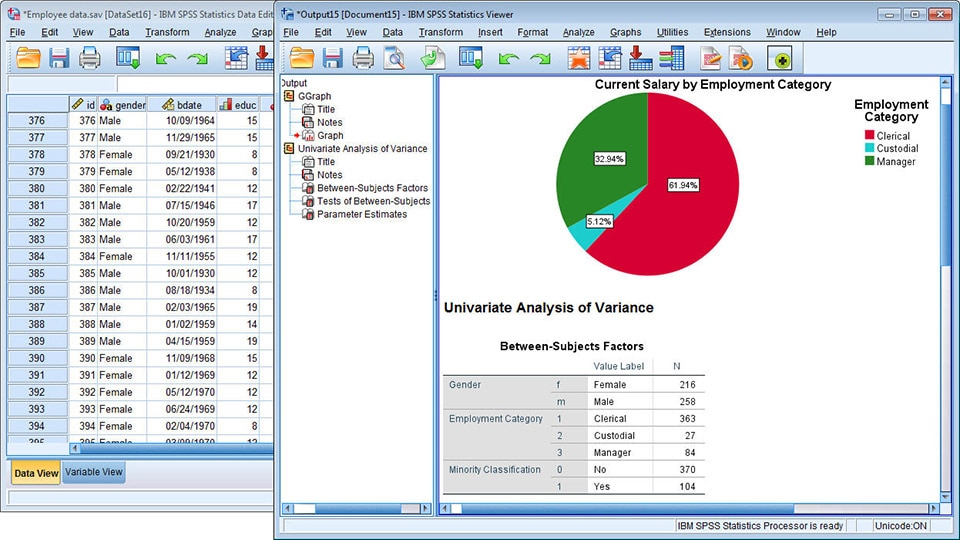IBM SPSS Statistics - version 25